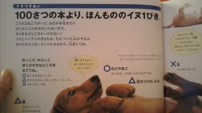 2011011914580000