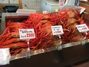 IMG_0552