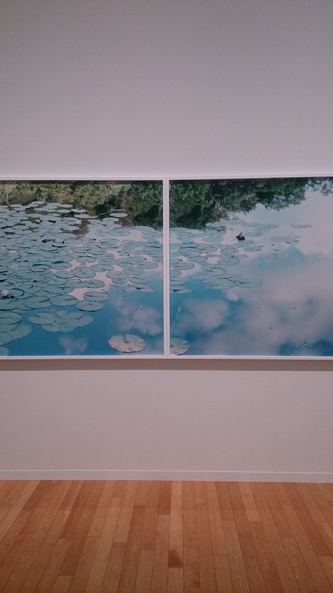 Risaku Suzuki Work