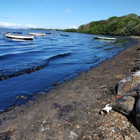 モーリシャスの海岸