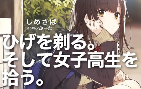 サラリーマンが家出JKを拾うアニメ