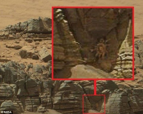 火星でカニのようなものを発見