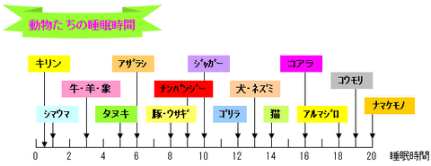 キリンの睡眠時間