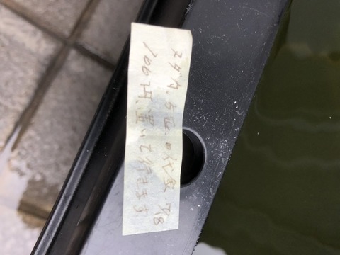 メダカ5匹の代金100円