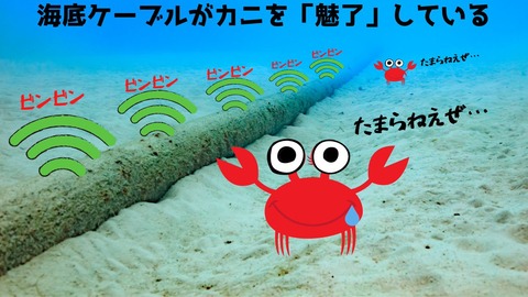 カニ