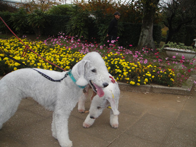 智光山公園