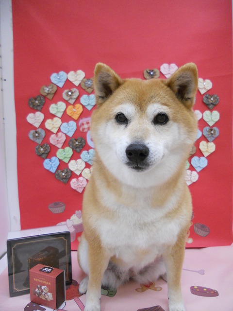 ナツ (2)