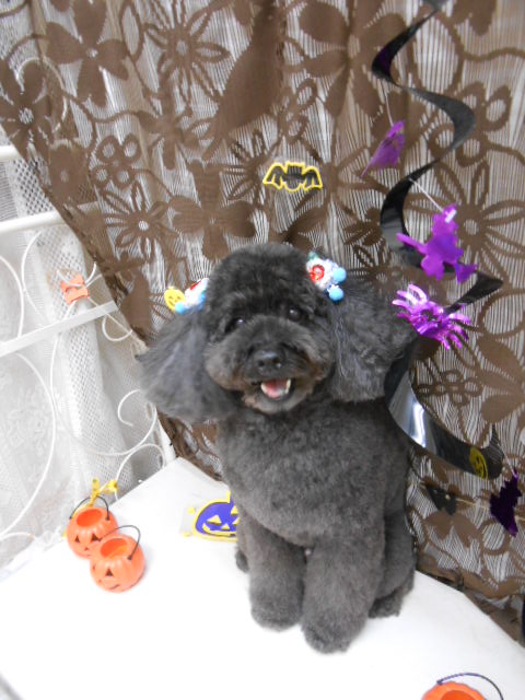 ソメ縦