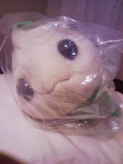 番外 前売り特典他非売品映画グッズ その16 菫色映画