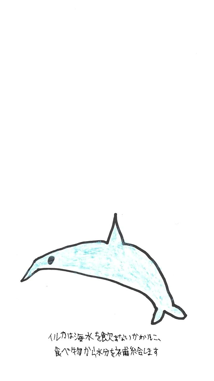 うゆさんのスマートフォン壁紙 Ver 05 東川町共生サロンここりん