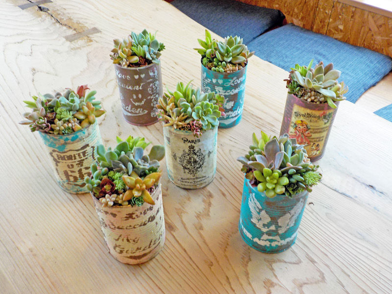 こころやカフェ体験教室 多肉植物大好きtaka先生の 多肉植物の寄せ植え教室 こころんげんきブログ 社会福祉法人こころん