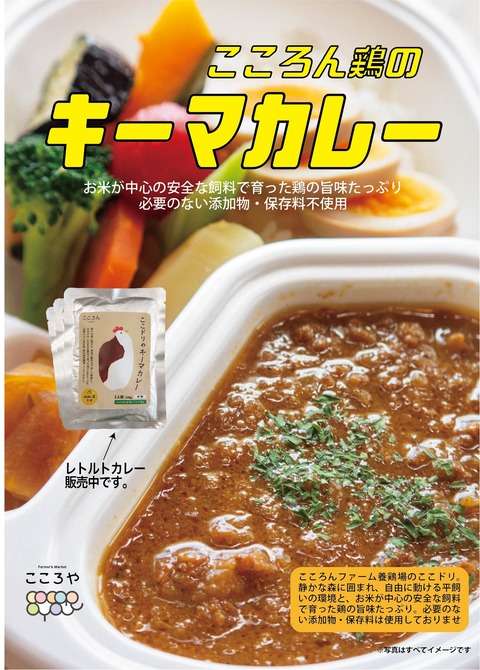 こころや_テイクアウトカレー