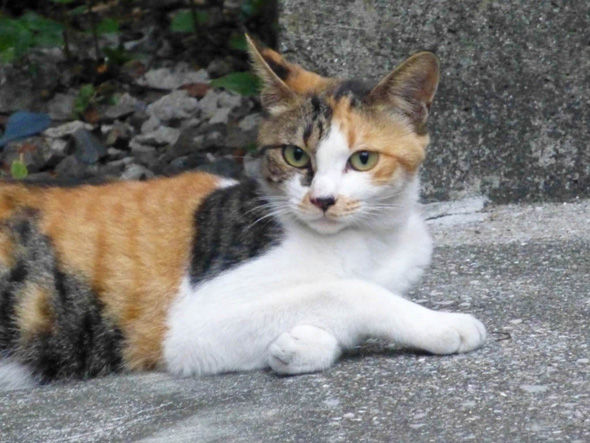 20130824.jpg
