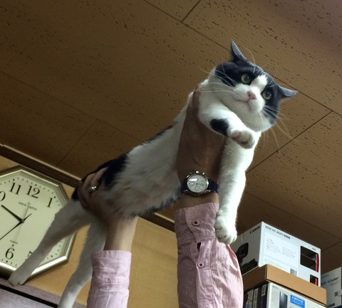 フライングタマ2