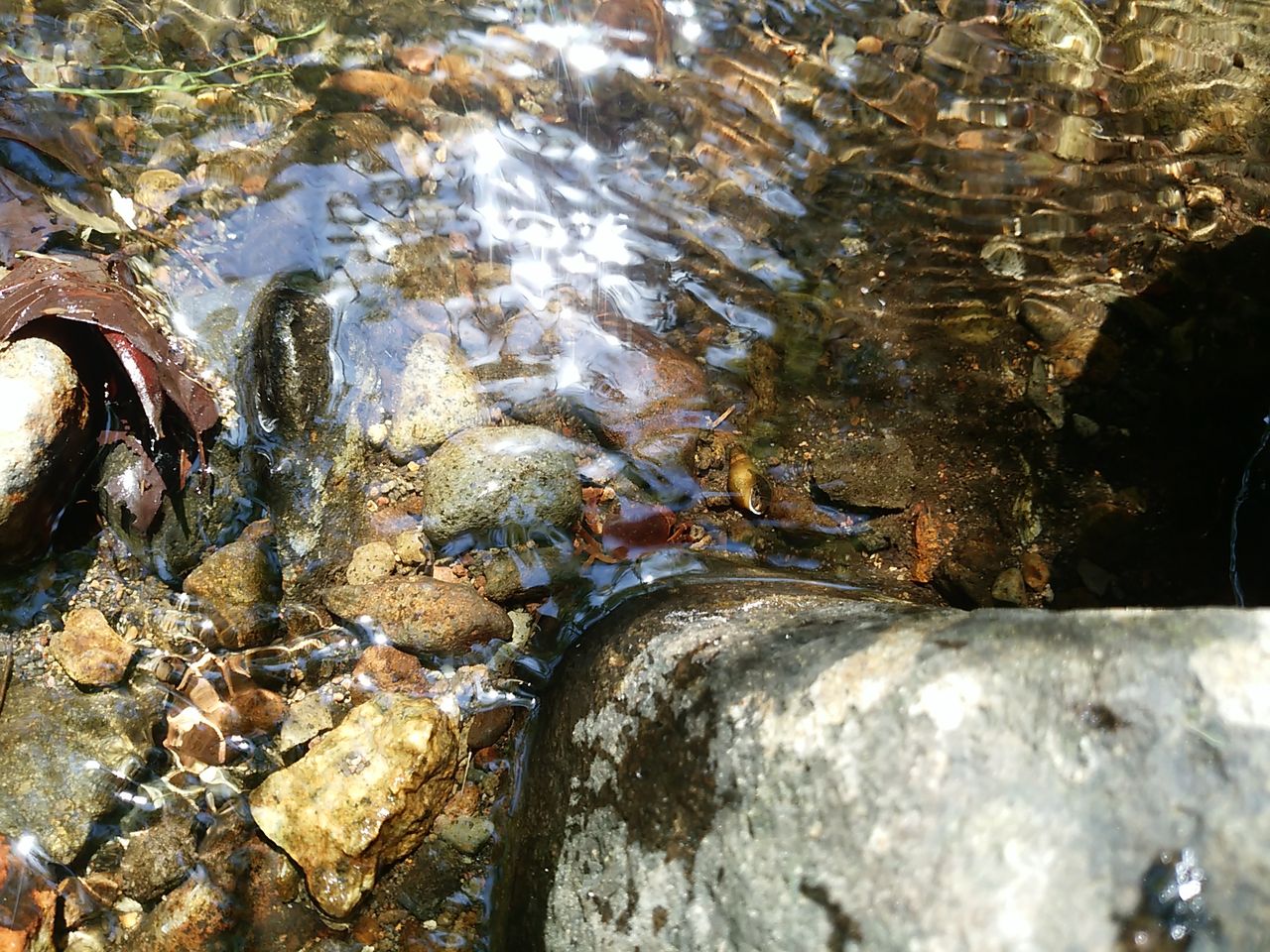 おだぎりガーデン こども3人 ミニマルな暮らし