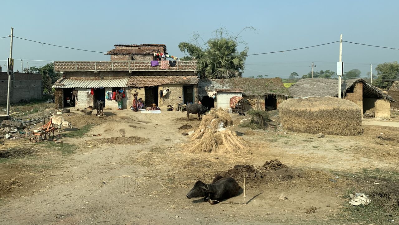 インドを旅して ヒンドゥー教と牛 ここちよい旅 Plus 夫婦世界一周旅行