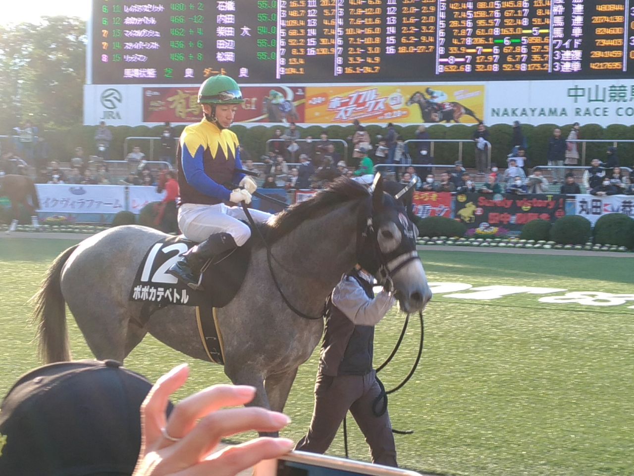 グレイトフルステークスでポポカテペトルを応援する オレブログ