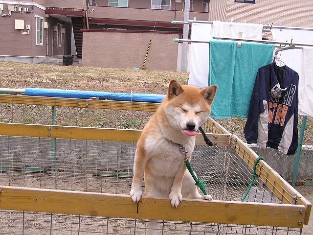 0126458c.jpg