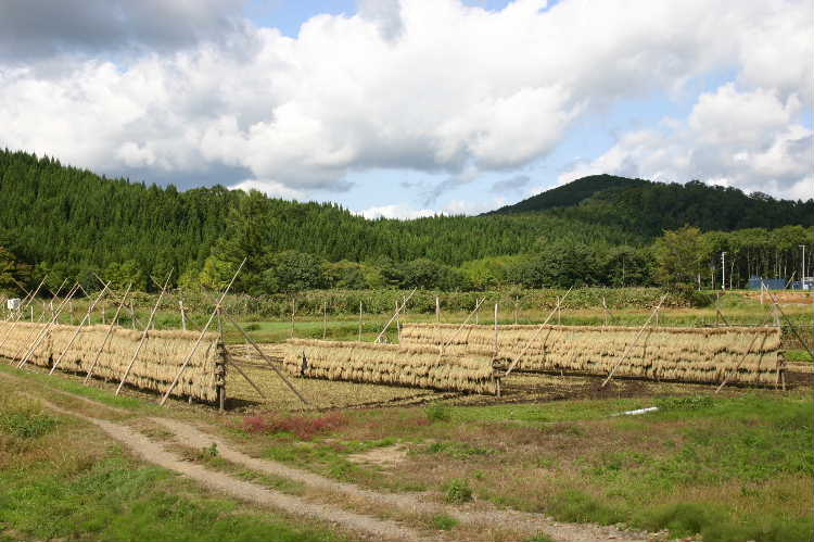 02c3f330.jpg