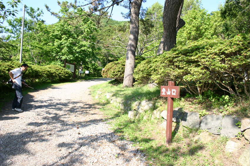 函館のおぢさん2的ブログ 函館山徒歩登山 函館のおぢさん2的ブログ 函館山徒歩登山