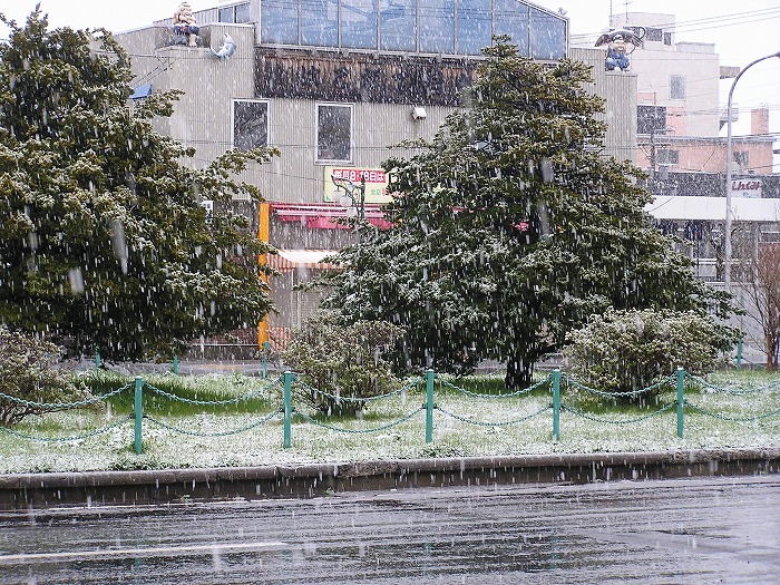 1f136795.jpg