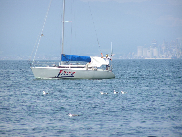 50bb298d.jpg