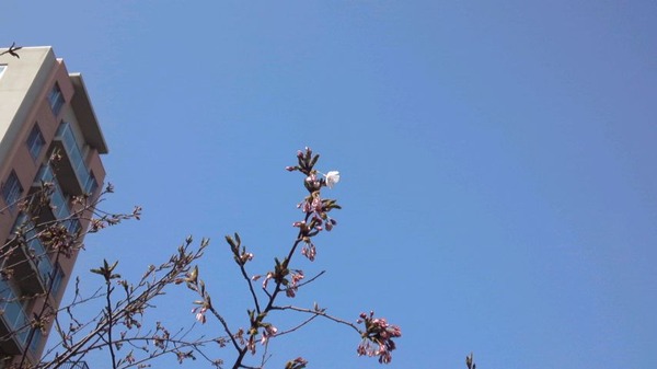 mini_140425_1453