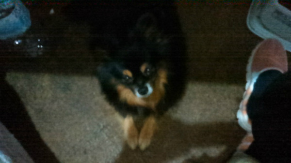KIMG0772