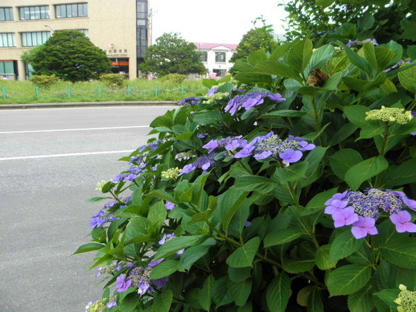 P7290345