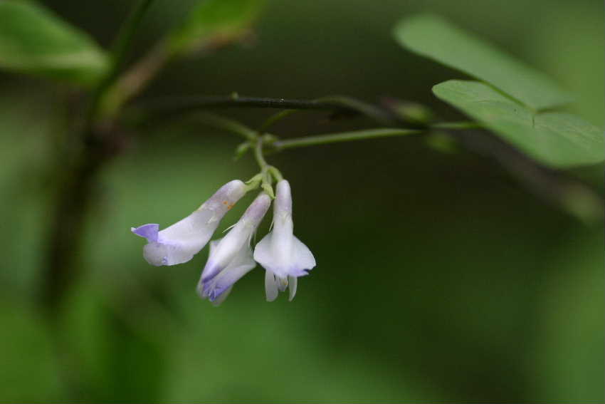 7f902222.jpg