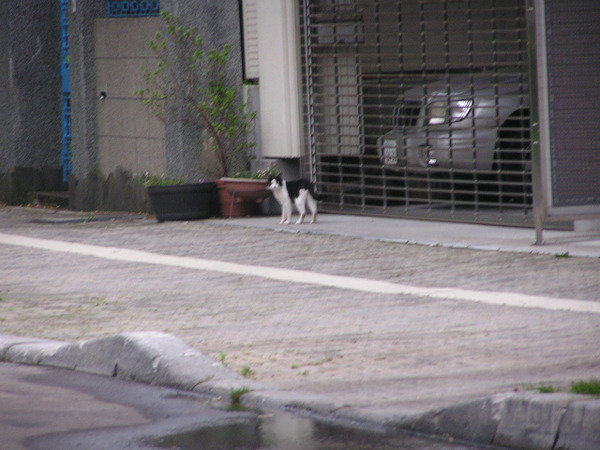 P1010037