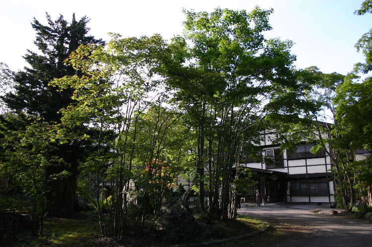 86402d4b.jpg