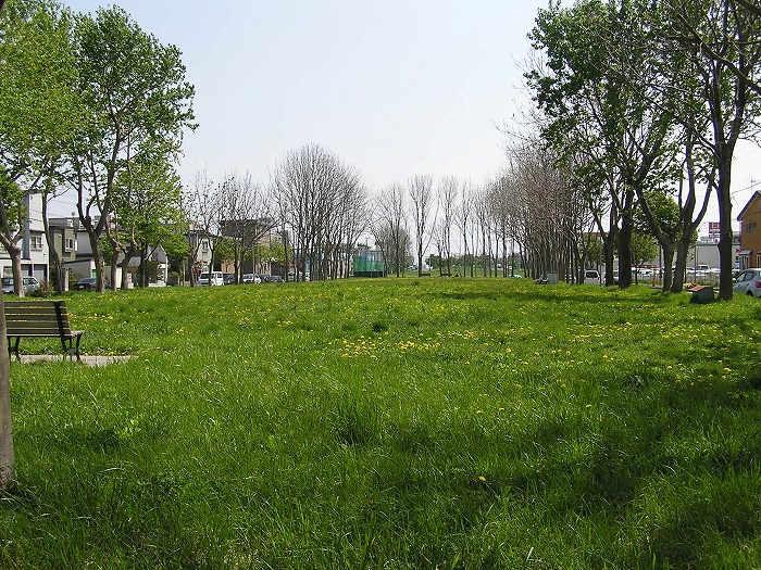 8ef28d39.jpg