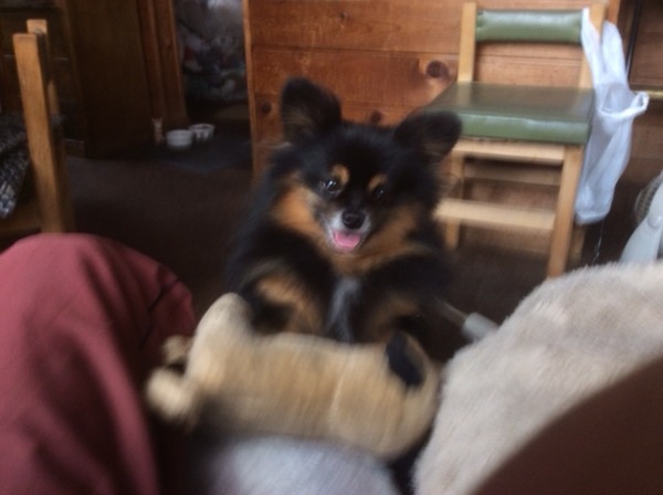 IMG_1779