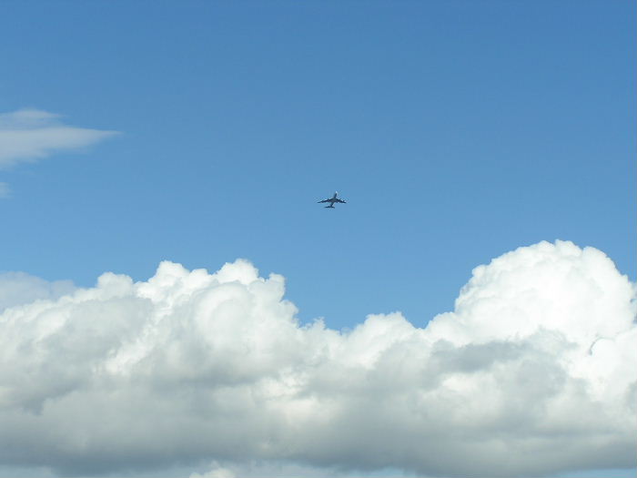 a13113d6.jpg