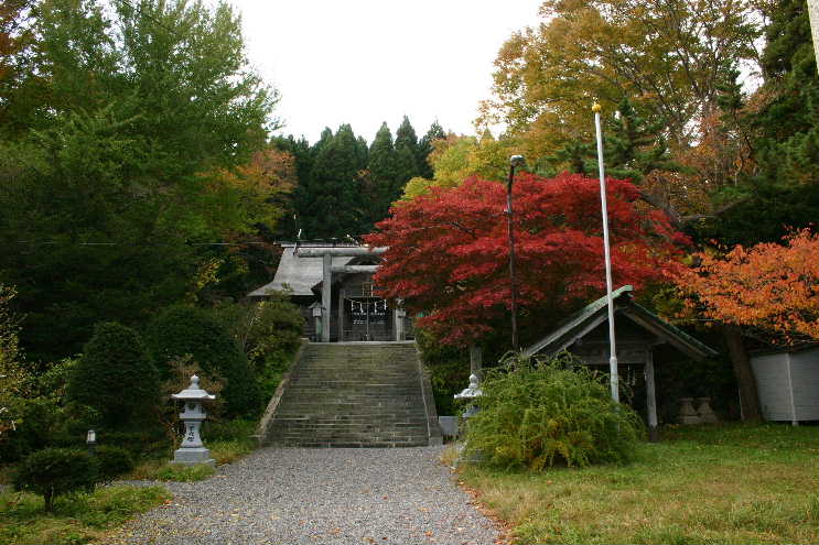 a5322978.jpg