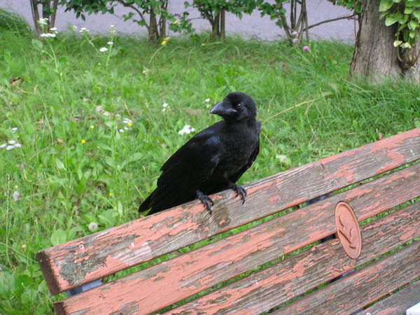 P1010034