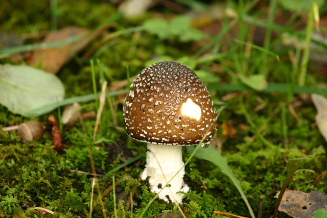 b92690b6.jpg