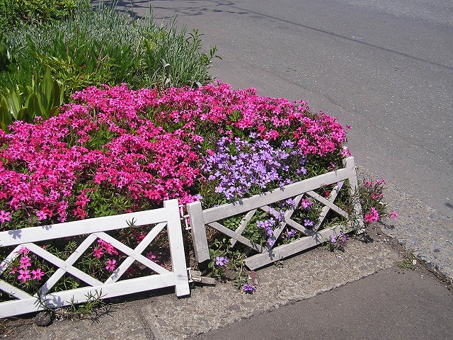 bd94c7dc.jpg