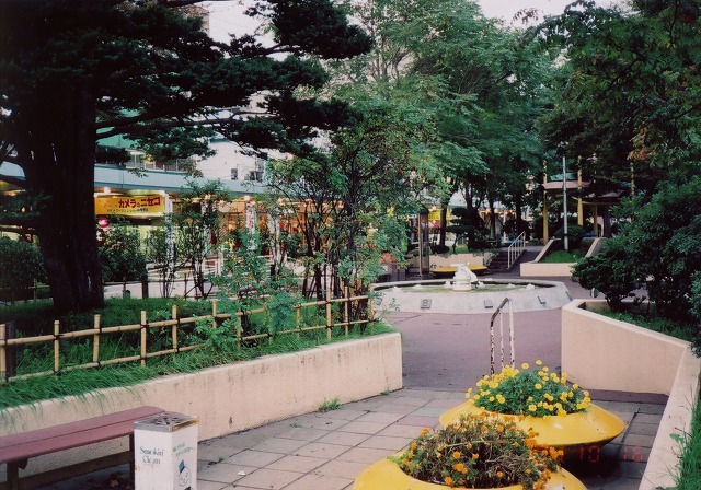 c607d296.jpg