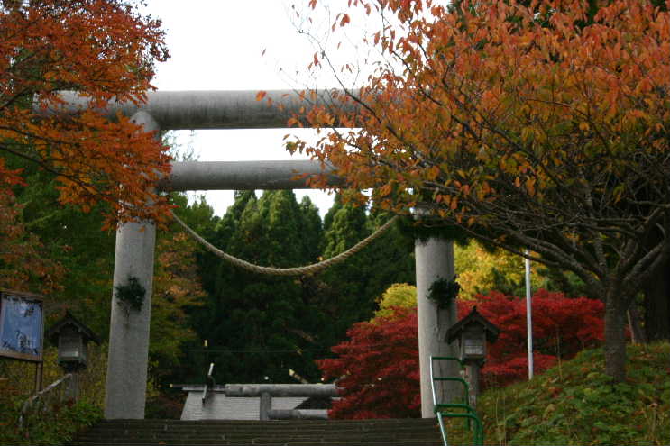 c842d576.jpg