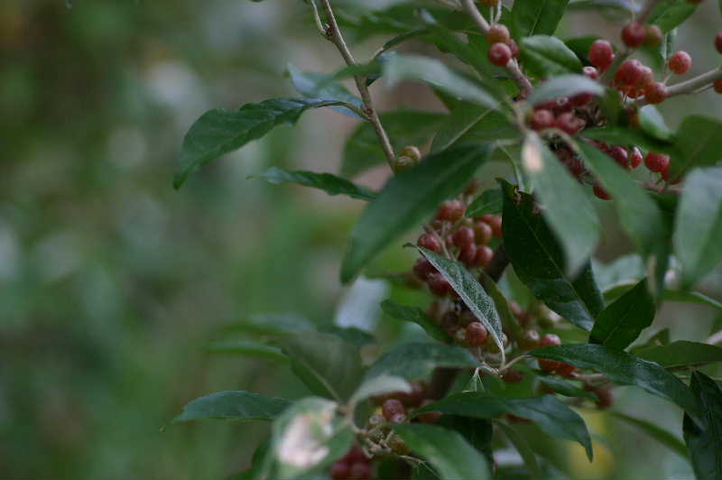 c88591e6.jpg