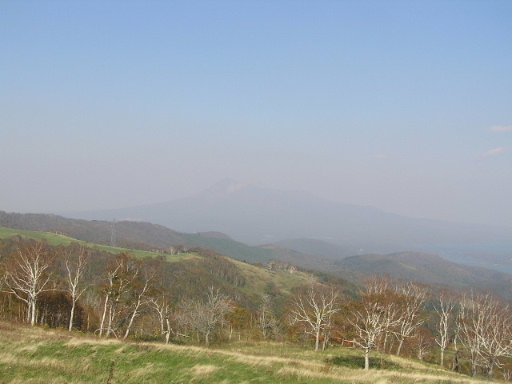 c9764244.jpg
