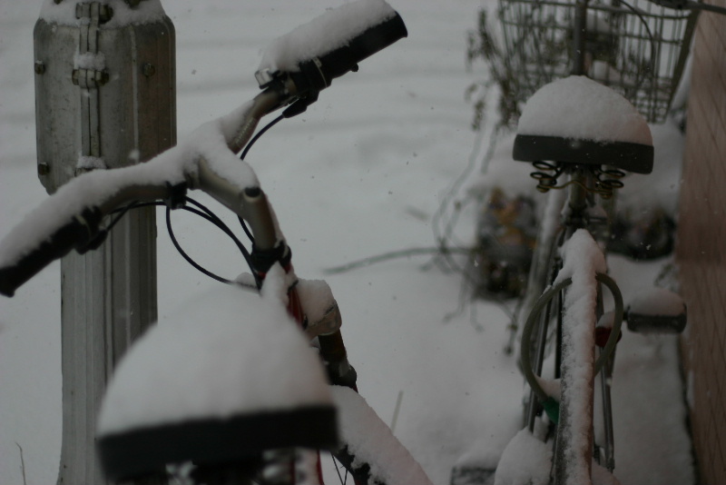 cbc95c90.jpg