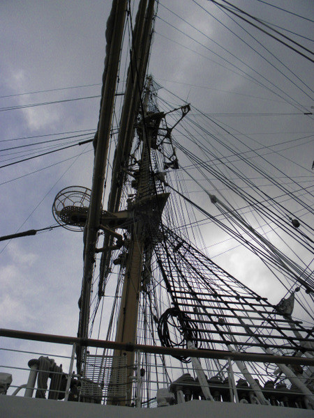P8221189