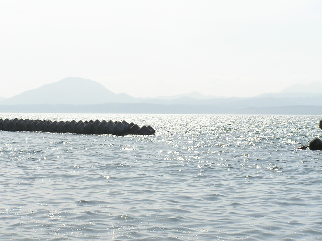 dc338689.jpg