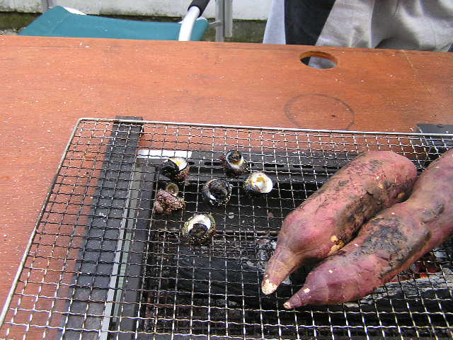 dcbd110b.jpg