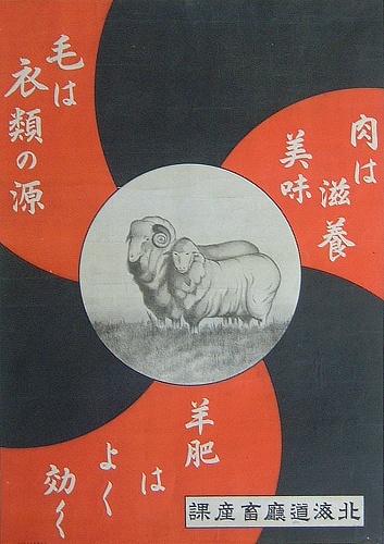 dec4613d.jpg