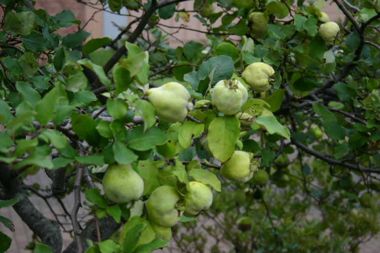 e7e4551c.jpg