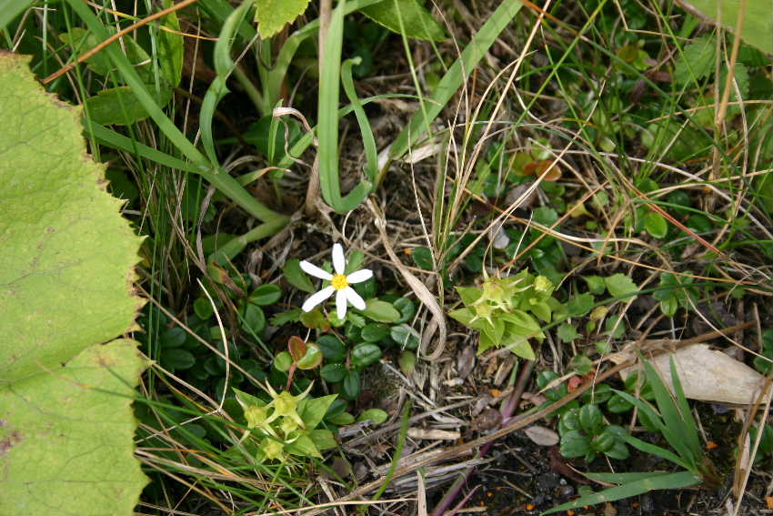 f566b24c.jpg